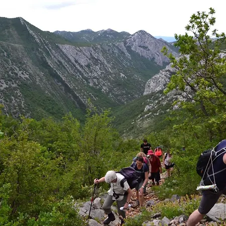 Daire In Starigrad-paklenica 6859 *