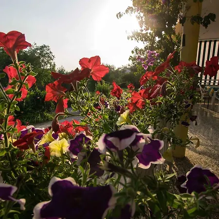 In Starigrad-paklenica 6859 Daire