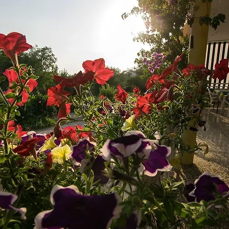In Starigrad-paklenica 6859 Appartement