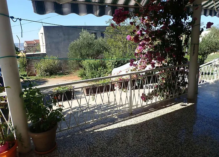 In Starigrad-paklenica 6859 *