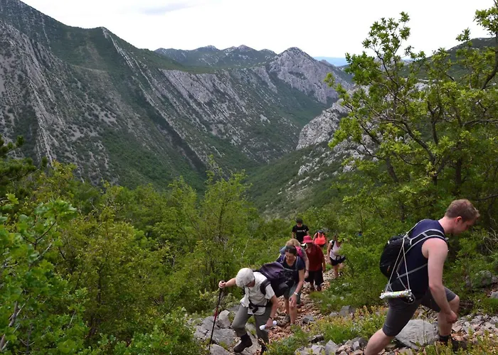 Daire In Starigrad-paklenica 6859 *