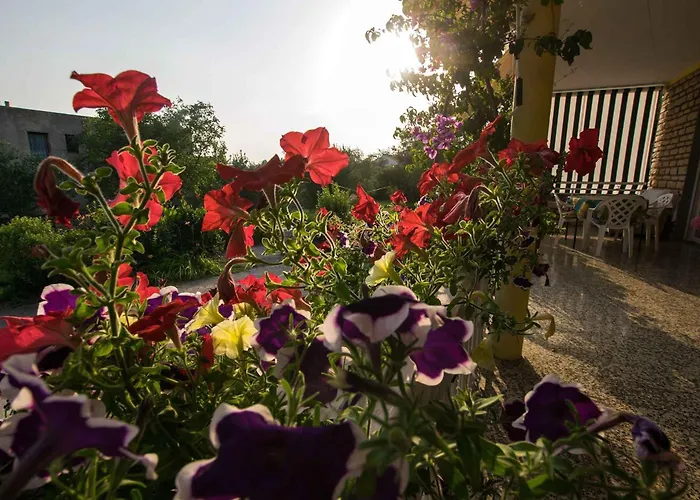 In Starigrad-paklenica 6859 Daire